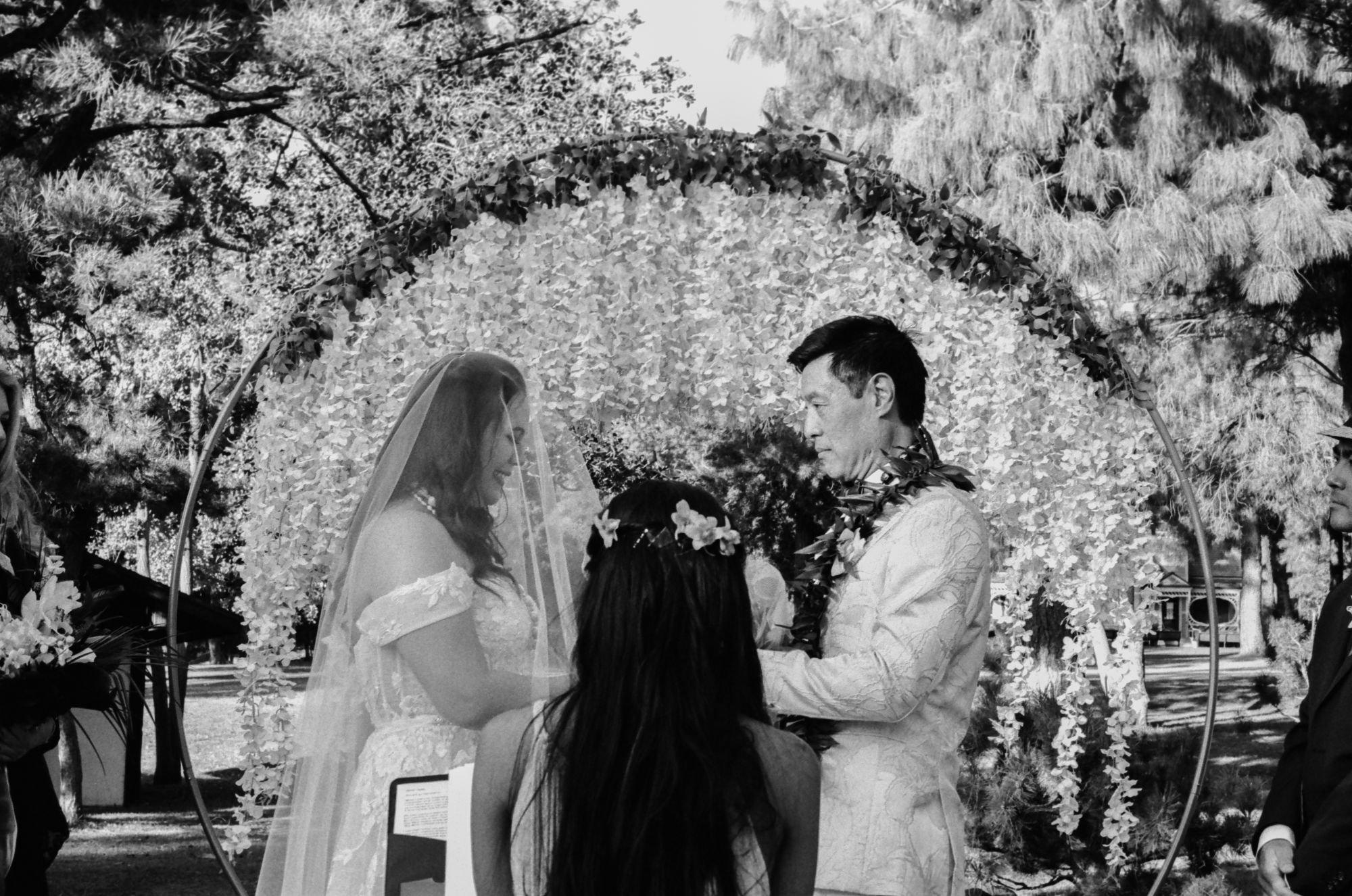 carousel-hero-element image-2